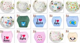 6 Piece Mix Wholesale Baby Newborn Diapers Cover Washable Training Cotton Learning Pants Reusable Cloth Diapers With Inserts