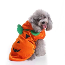 big dog promo code big dog promo code