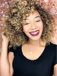 brazilian Hair afro kinky Curly Wig Simulation Human Hair afro kinky Curly full Wigs in stock