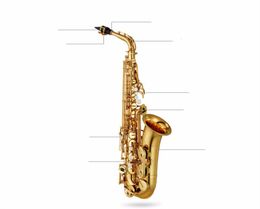 Japan Alto Sax Top Music Instrument new High quality saxophone profissional Reference electrophoresis gold Real picture