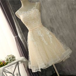 2018 Cheap Sexy Lace Mini Party Homecoming Dress With Appliques Lace Up For Girls Juniors Graduation Party Prom Formal Gown BH06