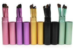 5 pcs Makeup Brushes Sets Kit 5 Colours Cosmetic Make up Brushes free shipping Eyeshadow brush BR024