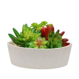 MUZHI 6.7 inch Plant Fibre Round Succulent Cactus Planter Pots, Cylindrical Modern Design Decorative Garden Flower Bowl Succulent Box