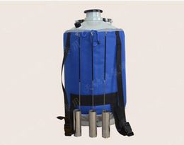 YDS-3 3L Cryogenic Liquid Nitrogen Container LN2 Tank Dewar with Straps