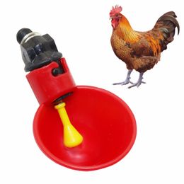 Poultry Drinkers Australia New Featured Poultry Drinkers At Best