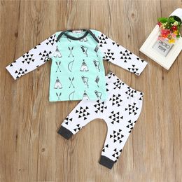 Cotton Baby Boy Clothes Spring Autumn Kids Clothes Boys Clothing Newborn Infant Boy Long Sleeve T shirt Tops +Pants 2PCS Boys Outfits Set