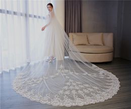 2018 Cheapest In Stock Long Chapel Length real photos Bridal Veil Appliques 2019 Veu De Noiva Longo Wedding Veil Lace Purfle with Comb