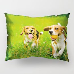 Shop Decorative Pillows Animals UK Happy Beagle Pillow Case | Dog couch