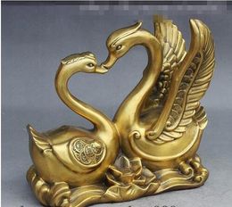 9" Chinese FengShui Brass Wealth Money 2 Conjugal Love Swan Cygnus Lotus Statue