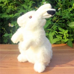 Simulation Arctic Rabbit Dolls White Rabbit Plush Animal Toy Snow Bunny Toy Children Birthday Gift Early Learning Props 25cm 9.8inch DY50357