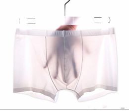 Summer Men Boxer Shorts ice silk sexy Calzoncillos Hombre Slips Ropa Interior Homme Underwear men male underpant L-3XL