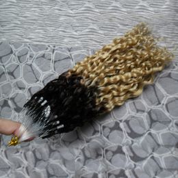 Mongolian Kinky Curly Hair Micro Ring Hair Extensions 1B/613 Ombre Curly 100g Micro Loop Hair Extensions Double Drawn 10"-26"
