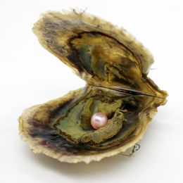 Wholesale 6-7mm natural akoya salt oyster pearl, pearl in oyster is 21# natural pink Total 29 colors to choose from
