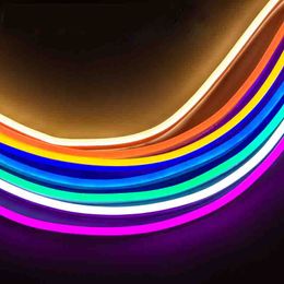 Neon Rope LED Strip RGB AC 220V 50 Metre outdoor waterproof 5050 SMD Light 60LEDs/M with POWER Cuttable at 1 Metre 240V