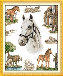 The home of horse crafts decor paintings ,Handmade Cross Stitch Craft Tools Embroidery Needlework sets counted print on canvas DMC 14CT /11CT