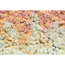 Spring Blossoms Wedding Flower Backdrops Printed White Coral Cream Roses Wall Princess Girl Birthday Party Themed Photo Booth Background