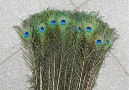 New 100pcs Feather Peacock TAILS 10"-12" Tail Feathers Fan For Wedding Party Decoration Craft Diy