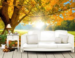 Modern Maple tree, autumn forest, sunshine wallpaper murals photo wall murals 3d wallpaper living room tv backdrop walpaper