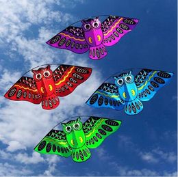 Roligt flygande nya 110cmx80cm Owl Ainimal Kite Single Line Breeze Outdoor Fun Sports for Kids Delta Kites