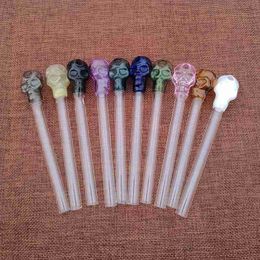 10pcs Wholesale Skull Glass Unique Design Oil Burner Pipe Mini Pyrex Colored Smoking Water Pipes Hand Oil Burner For Dab SW13