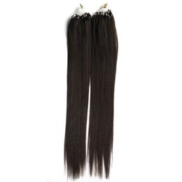 Loop Micro Remy Straight Tip Hair 100g Loop Micro Ring Human Hair Extensions Link Bead Real European Salon Style Hair