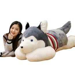 Dorimytrader Cute Fat Husky Plush Toy Giant Stuffed Animals Dog Doll Pillow for Children Adults Gift Deco 67inch 170cm DY50494