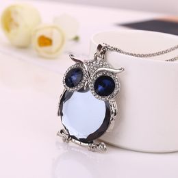 Owl Rhinestones Crystal Necklaces Clothing Accessories Sweater Long Chain Necklace