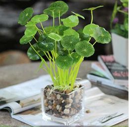 APRICOT Branches Green Lotus leaf Imitation Fern Plastic Artificial Grass Leaves Plant for Home Wedding Decoration Arrangement