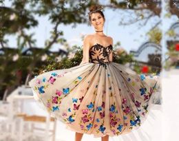 Real Images Knee Length Prom Dress Colourful Butterfly Sweetheart Lace Appliques Cocktail Party Dress Lace Up Back Dresses Evening Wear