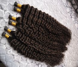 Capelli ricci profondi brasiliani Capovolgo le estensioni dei capelli 300 g / ciocche Stick di cheratina Capovolgo le estensioni dei capelli umani prebonded brasiliani