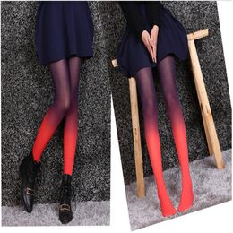 2018 NEW Fashion 2pcs/lot Girl's gradient tights pantyhose sexy funky Tight for women stocking pants 6 mixed Colours