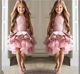 Hot New Sweet Flower Girls Dresses For Weddings Jewel Neck Sleeveless Lace Short Tiered Ruffles Girl Pageant Gowns