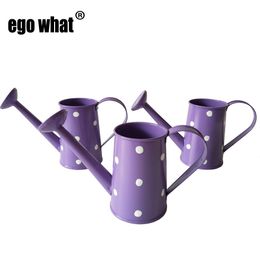 Shop Flower Water Bucket Uk Flower Water Bucket Free Delivery To