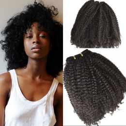 7pcs 4a4bAfro Kinky Curly Clip In Hair Extensions Virgin Human Hair Natural Black Free Shipping G-EASY