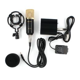 BM 700 Condenser Microphone Studio Wired Computer Mic BM700 NB-35 Holder For Microphone For kareoke PC Laptop