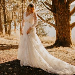 Plus Size Country Style Lace Wedding Dresses Appliques Long Sleeves V Neck Court Train Backless Wedding Dress Bridal Gowns vestido de novia