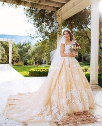 Champagne Gorgeous Wedding Dresses Sheer Neck Backless Sweep Train Appliques Chapel Garden Castle Bridal Gowns vestido de novia