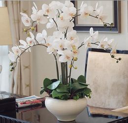 orchidee finte vendita on line orchidee finte vendita on line