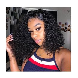 hot lady brazilian Hair African Ameri short kinky curly Simulation Human Hair curly Wig for women in large stock