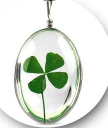 Many fashionable and optional flower plant specimen necklaces natural four-leaf clover pendant glass time gem pure handmade creative gifts