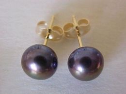 stunning round 11-12 mm black south sea pearl earring yellow gold stud