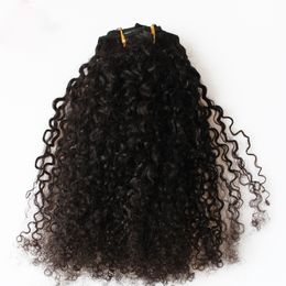 Brazilian Afro Kinky Curly Clip In Human Hair Extensions 100 Grams/Set Clip In Human Hair Extensions 8 Pcs Remy Hair