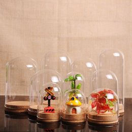 Terrarium Glass Bell Bottle Dome Shape Transparent Jar with Cork Bottom Desttop Mini Garden Container F1123