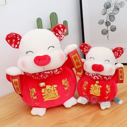 Zodiaco Suministro de Argentina