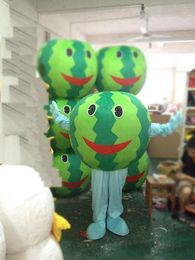 Factory outlet lovely watermelon mascot costume cute cartoon clothing factory Customised private custom props walking dolls doll clothing