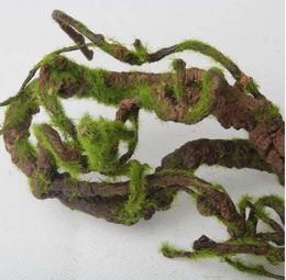 Reptile Tank Nz Buy New Reptile Tank Online From Best Sellers