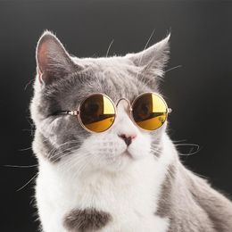 Óculos de moda pequeno animal de estimação cães gato óculos óculos protetores de olho pet cool óculos pet fotos adereços gato óculos de sol Promotion