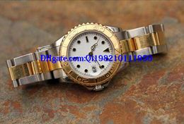 Christmas Gift Lady/women watch Wrist watch Automatic machinery 169623 Box Papers White Dial 29mm Steel/Gold