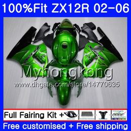 Injection For KAWASAKI ZX1200 ZX 12R 2002 2003 2004 2005 2006 224HM.29 ZX-12R 12 R 1200CC ZX12R 02 03 04 05 06 Glossy green Fairing