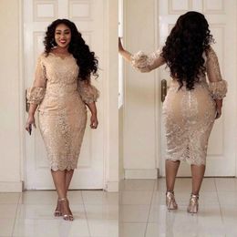 2022 Plus Size Champagne Mother of the Bride Groom Dresses Lace Applique 3 4 Sleeves Tea Length Wedding Guest Gowns Formal Gowns285h